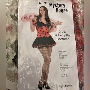 Ladybug 🐞 costume